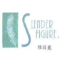 雅得麗 SLENDER FIGURE 及圖