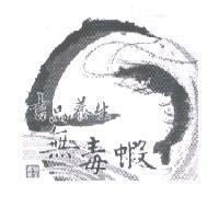 吉品養生無毒蝦及圖