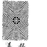 龍美及圖