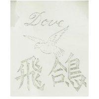 飛鴿及圖 DOVE