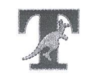 袋鼠圖