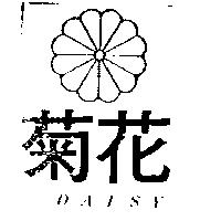 菊花及圖 DAISY 