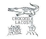 鱷魚 CROCODILE LACOSTE 及圖