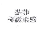 蘇菲/極緻柔感