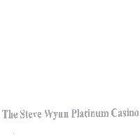 The Steve Wynn Platinum Casino