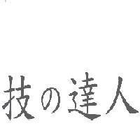 技 の 達人