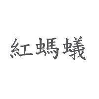 紅螞蟻