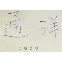 通洋 TOYO