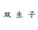 双生子
