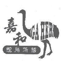 嘉和鴕鳥新態及圖 GA HER
