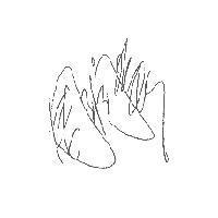 Mr. Chow Yun Fat's Autograph