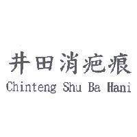 井田消疤痕 Chinteng Shu Ba Hani