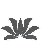張志隆標章