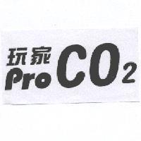 玩家 CO  pro