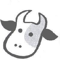 牛頭設計圖