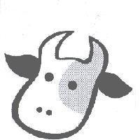 牛頭設計圖