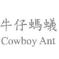 牛仔螞蟻 Cowboy Ant