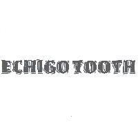 ECHIGO TOOTH 設計圖
