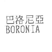 巴洛尼亞 BORONIA