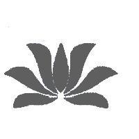 張志隆標章