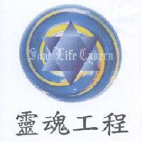 靈魂工程 Soul Life Cyvern 及圖