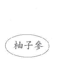 柚子參