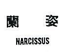 蘭姿 MARCISSUS 