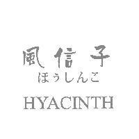 風信子 ほうしんこ HYACINTH