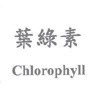 葉綠素 Chlorophyll