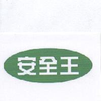 安全王及圖