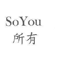 SoYou 所有