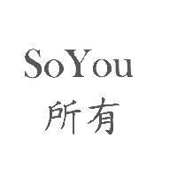 SoYou 所有
