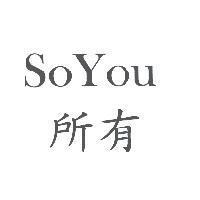 SoYou 所有