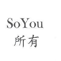 SoYou 所有