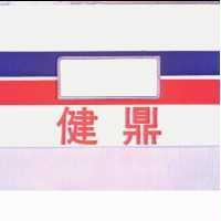 健鼎及圖(彩色)
