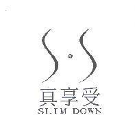 真享受 SLIM DOWN 及圖