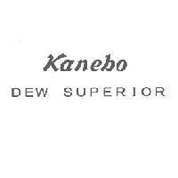 Kanebo / DEW SUPERIOR