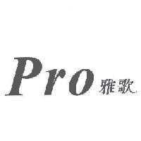 Pro 雅歌