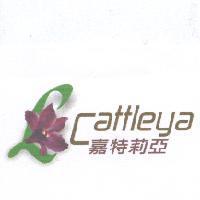 嘉特莉亞 Cattleya 及圖
