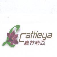 嘉特莉亞 Cattleya 及圖
