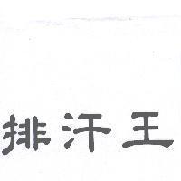 排汗王