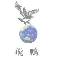 飛鵬設計圖