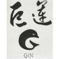 巨運 GIN 及圖