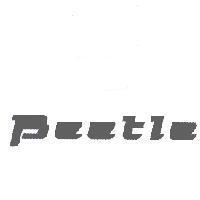 BEETLE