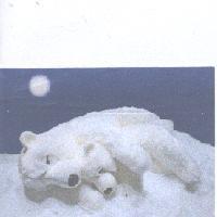 北極熊設計圖