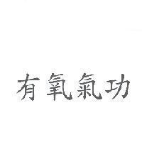 有氧氣功