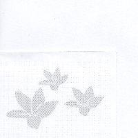 花圖