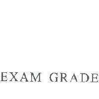 EXAM GRADE