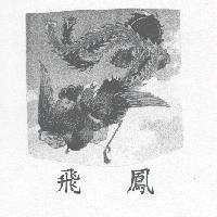 飛鳳及圖