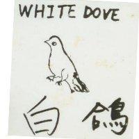 白鴿 WHITE DOVE 及圖